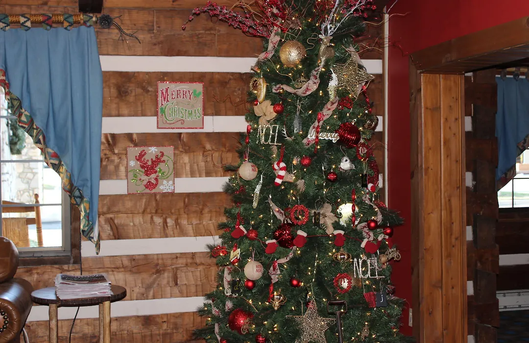 Great Smokies Inn - Cherokee-1