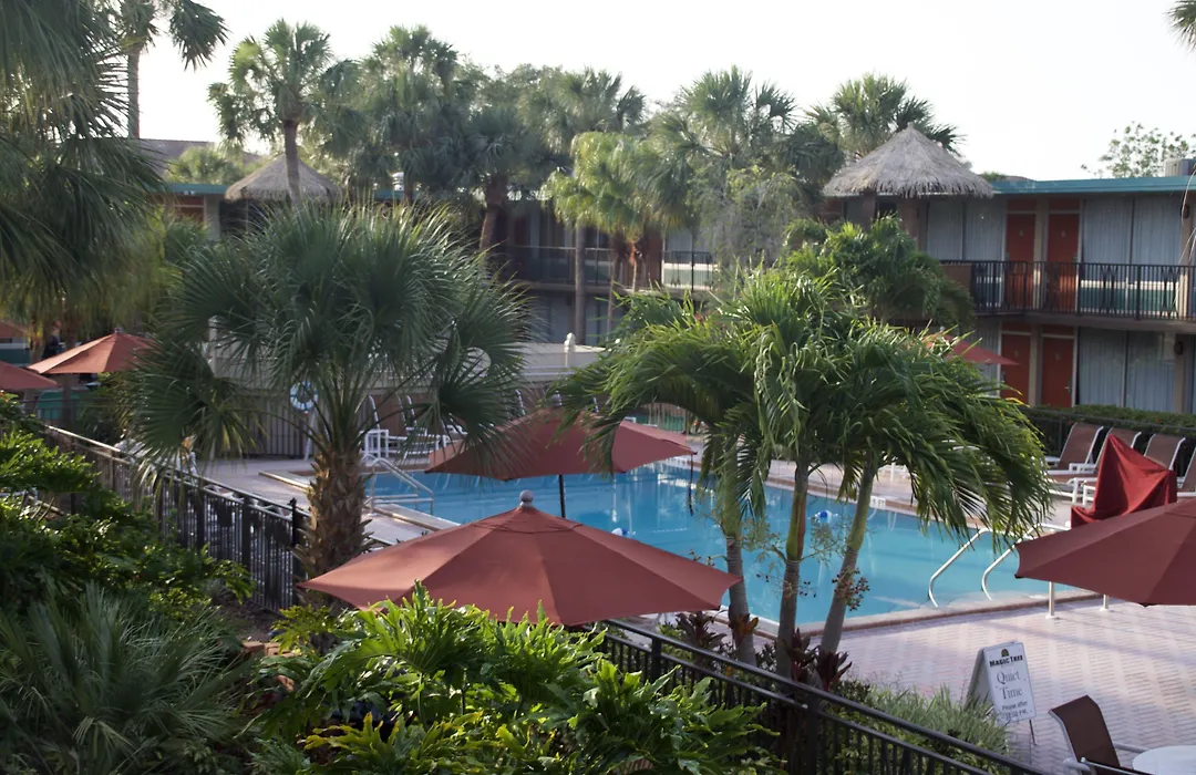 Magic Tree Resort-1