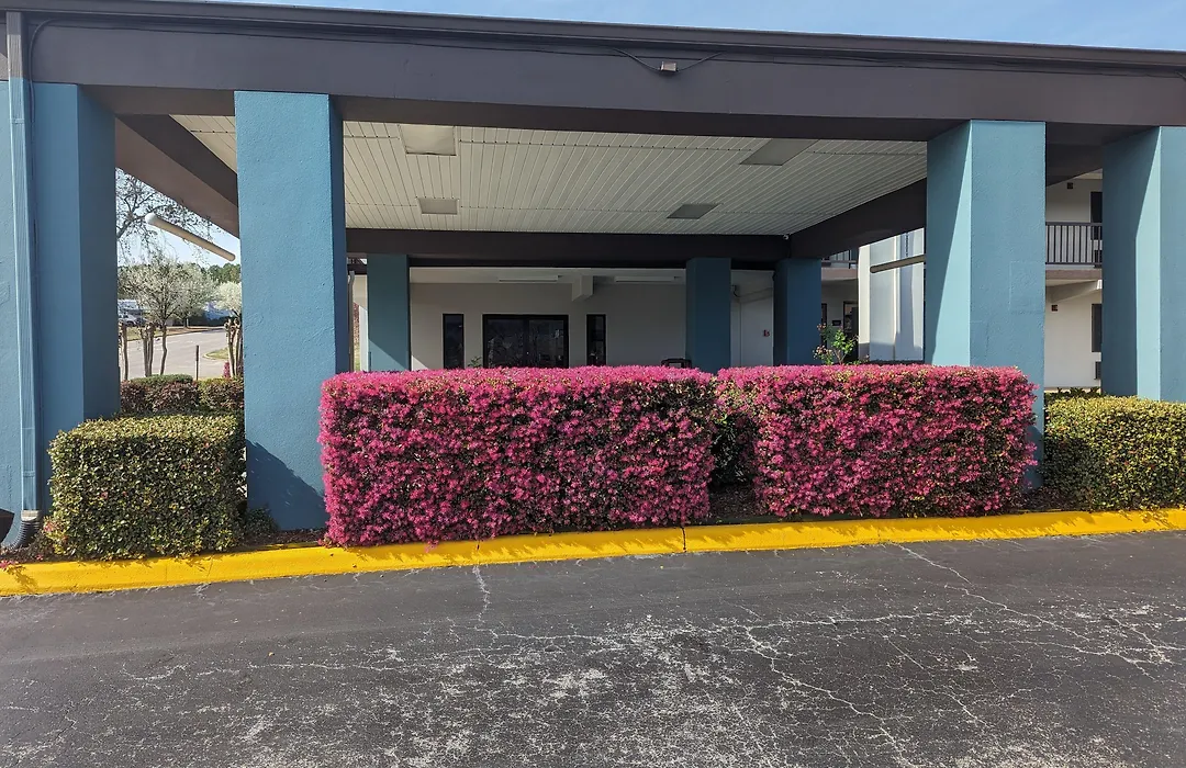Quality Inn Pelham I-65 Exit 246-1