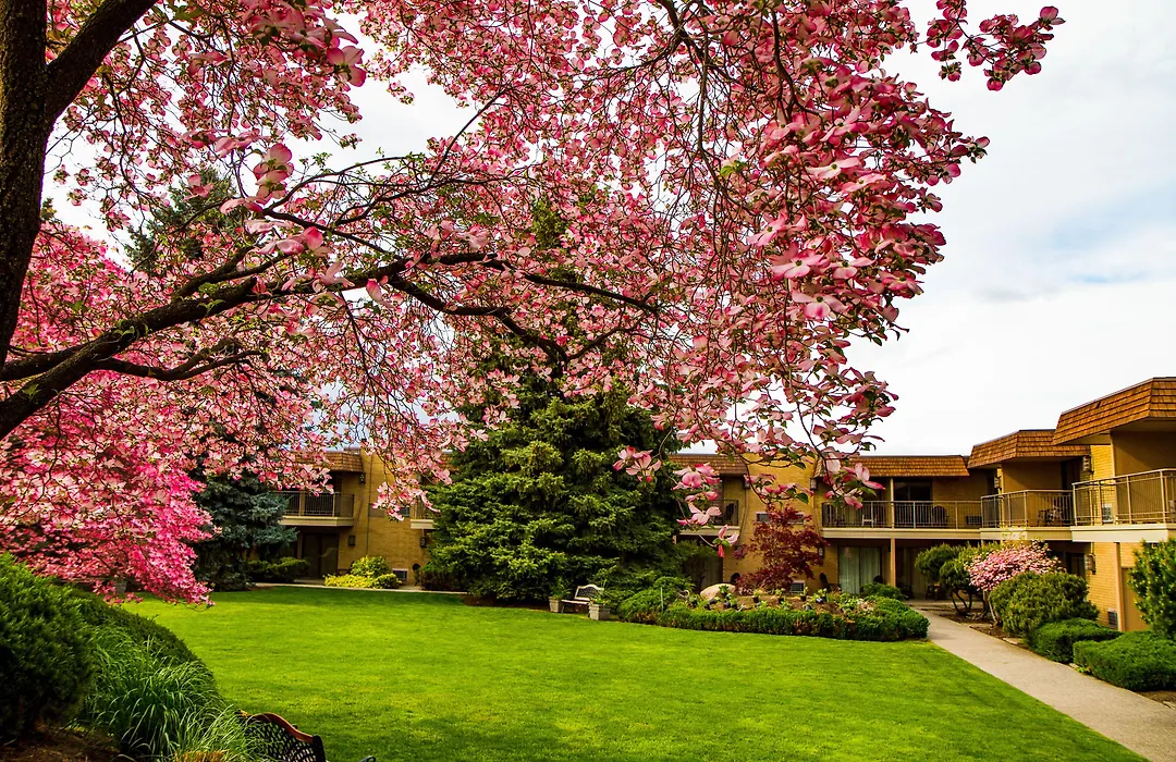 Mirabeau Park Hotel-1