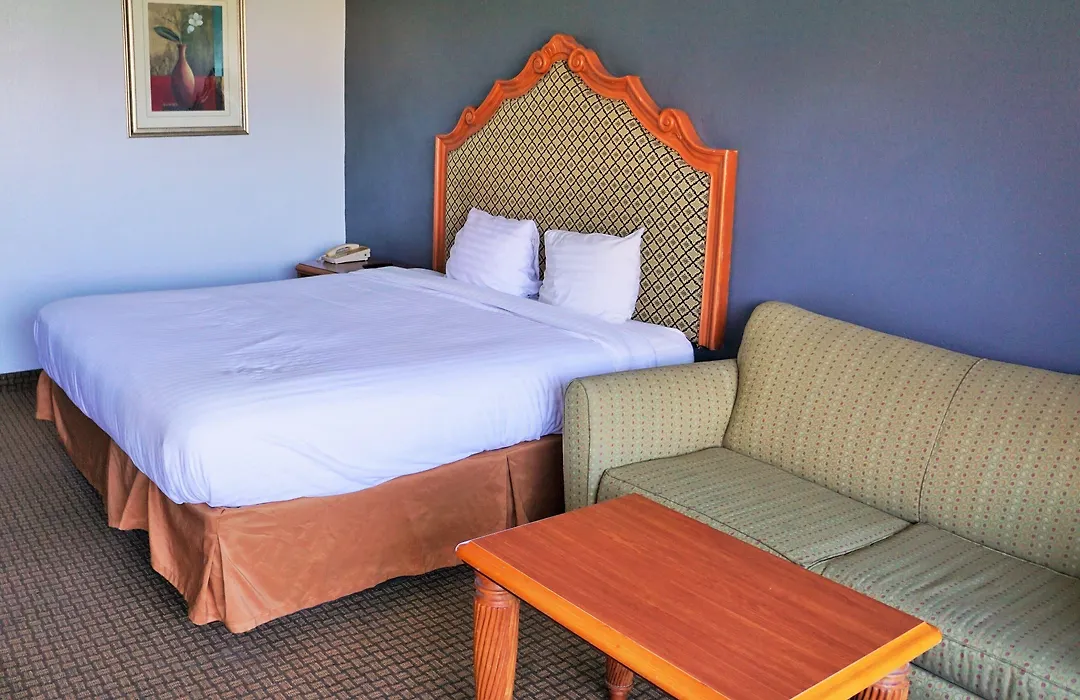 Hotel Elev8-1