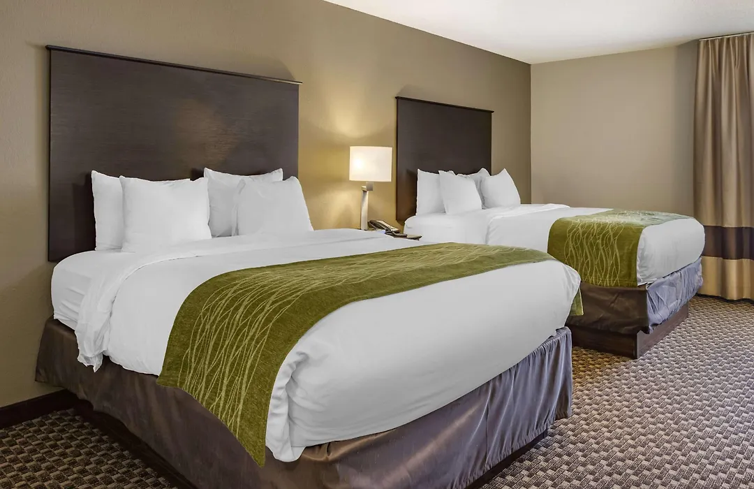 Comfort Inn Wings Stadium-1