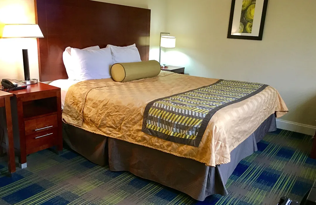 Travelodge By Wyndham By Fisherman'S Wharf-1