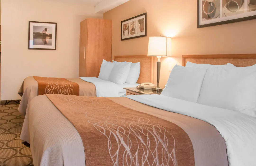 Comfort Inn Airport-1