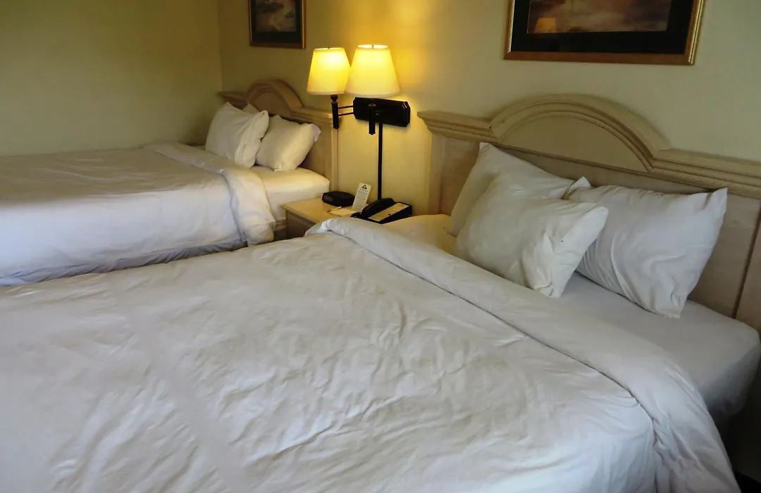 Days Inn By Wyndham Plainfield-1