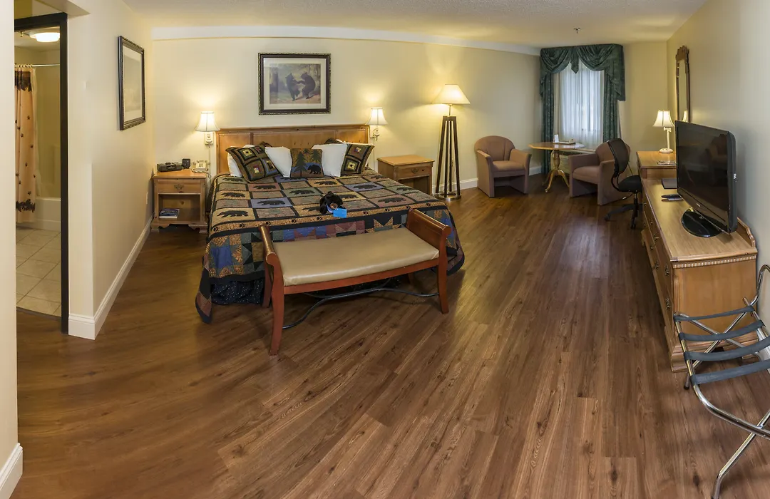 Black Bear Inn, An Ascend Collection Hotel-1