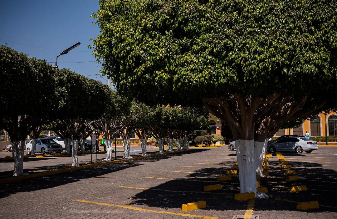 Holiday Inn La Piedad By Ihg-1