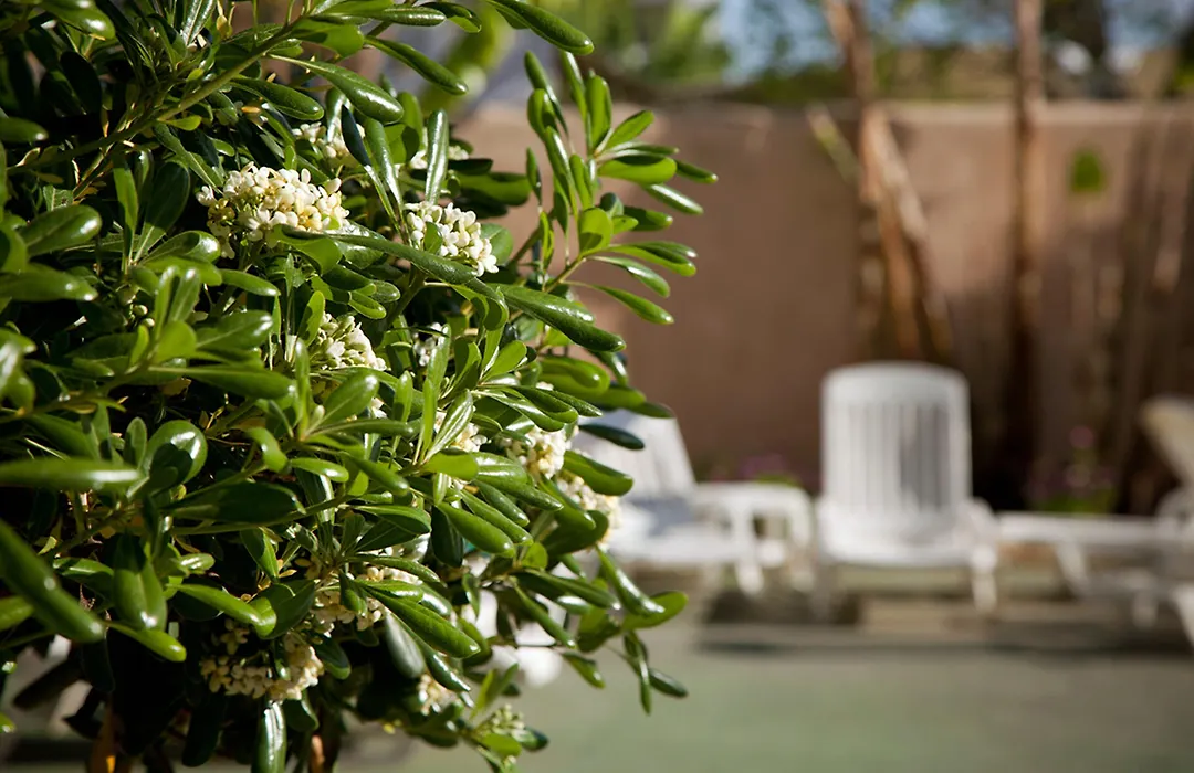Hotel Vibra Marco Polo II - Adults Only-1