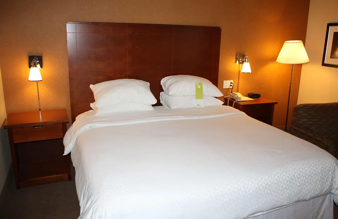 Four Points By Sheraton Chicago O'Hare-1