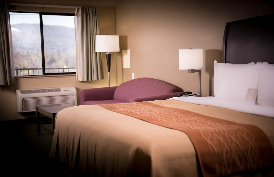 Comfort Inn Yosemite Area-1