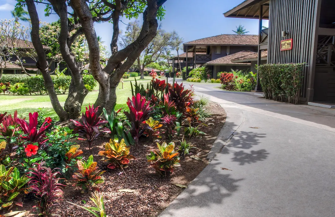 Royal Lahaina Resort & Bungalows-1