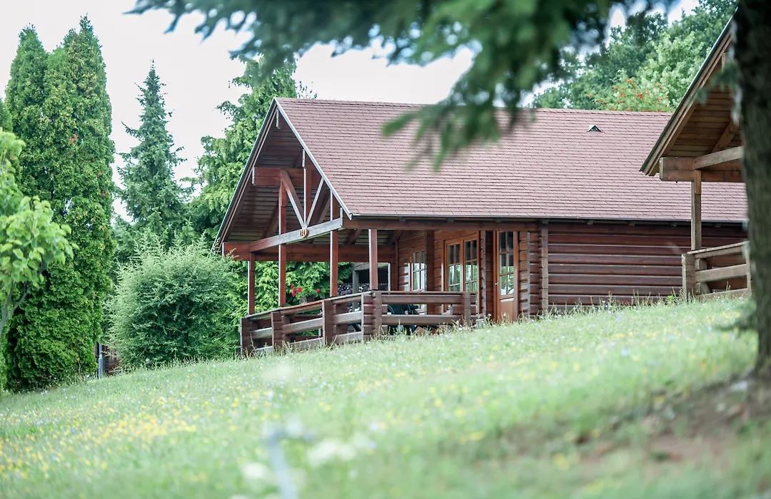 Petnehazy Aparthotel-1
