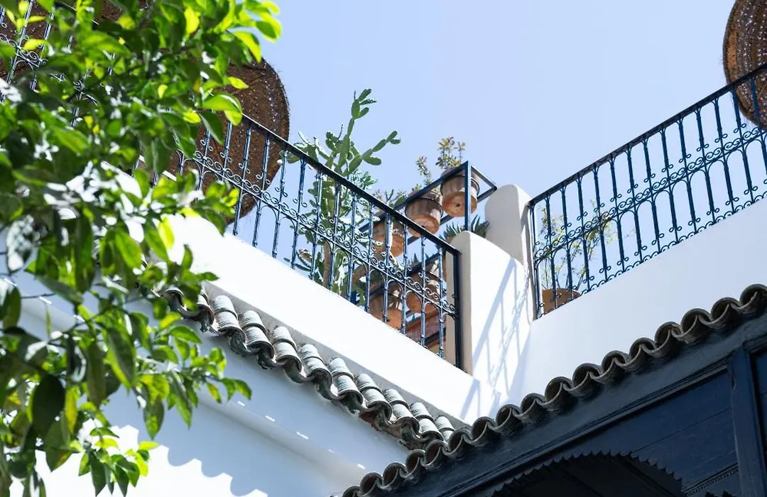 Riad Ajmal-1