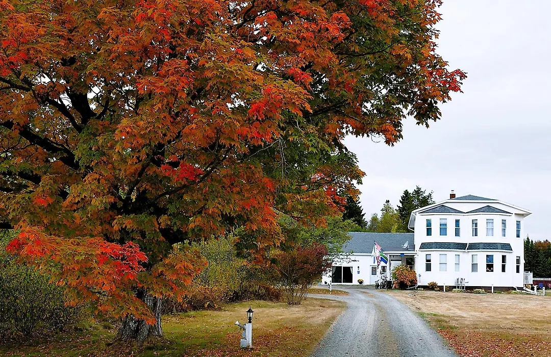 The Parrsboro Mansion Inn-1