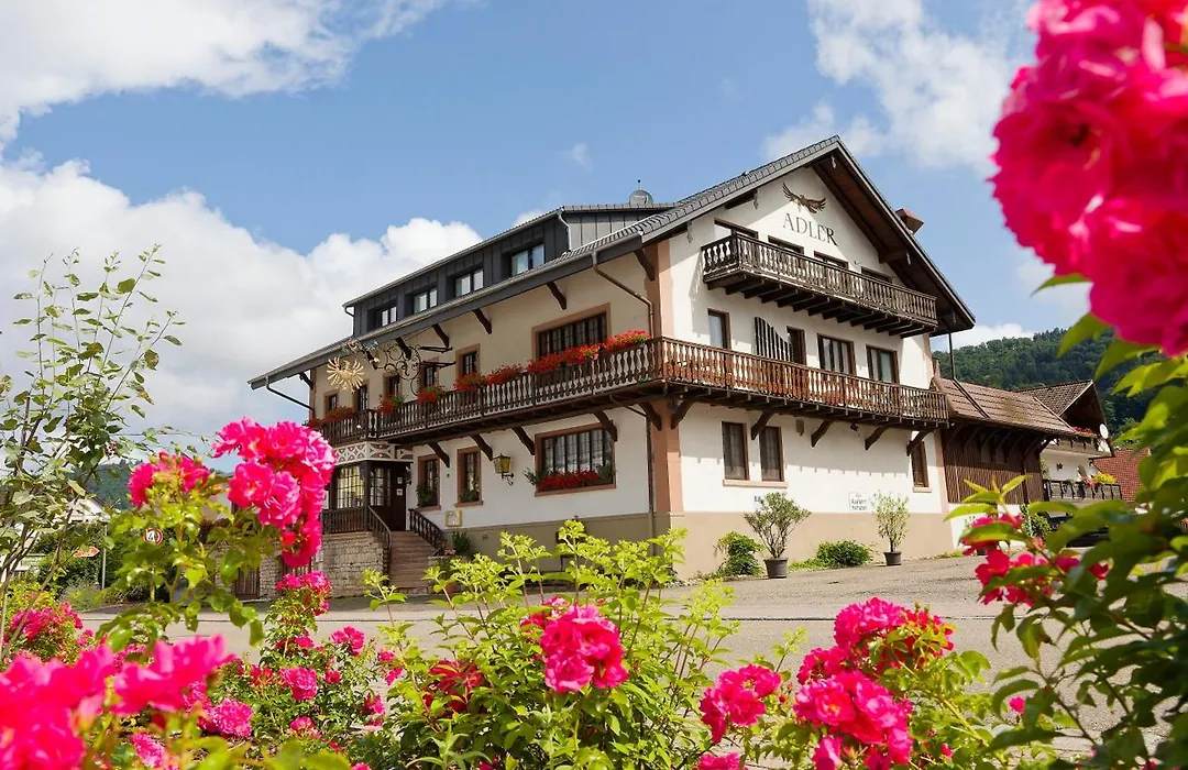Hotel Gasthaus Adler-1