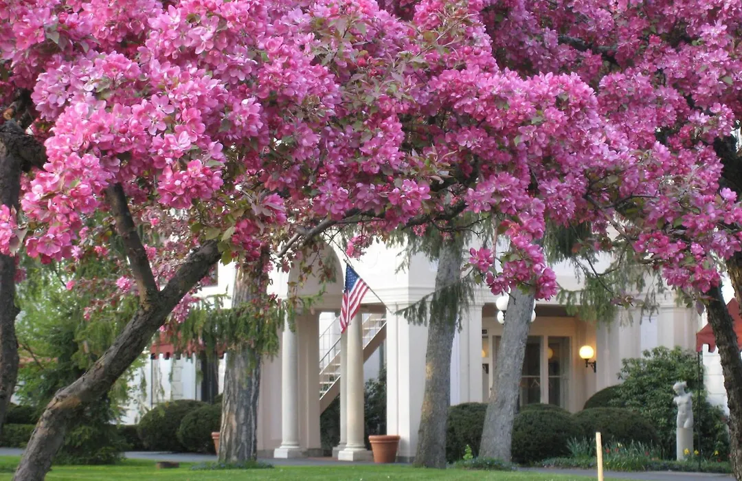 Geneva On The Lake Boutique Resort Hotel-1