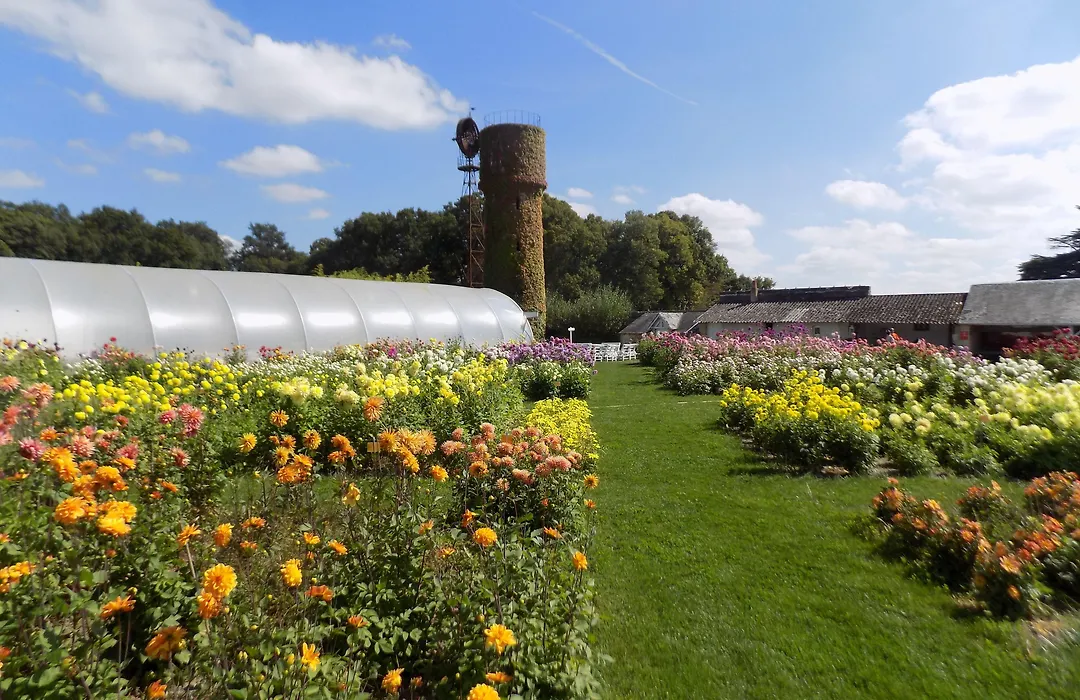 Chateau De La Bourdaisiere-1