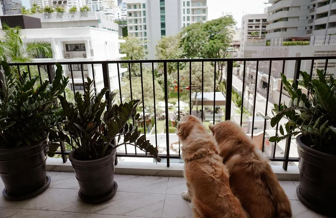 Floral Court Hotel & Residence Sukhumvit 13-1