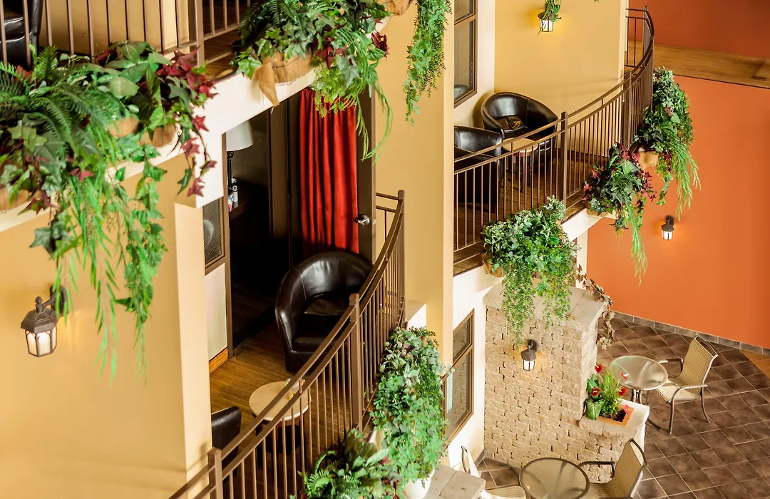 Hotel Ambassadeur Et Suites-1
