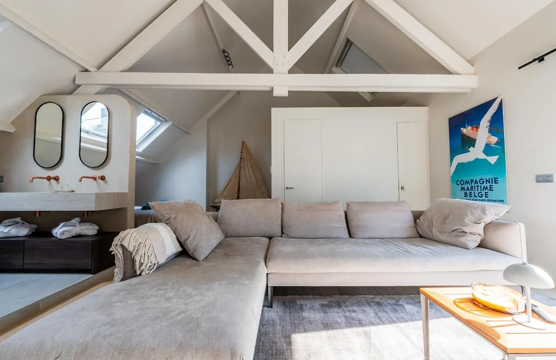 Villa Euphrosina boutique verblijf met verwarmd zwembad, sauna, vlakbij het strand van Oostende-1