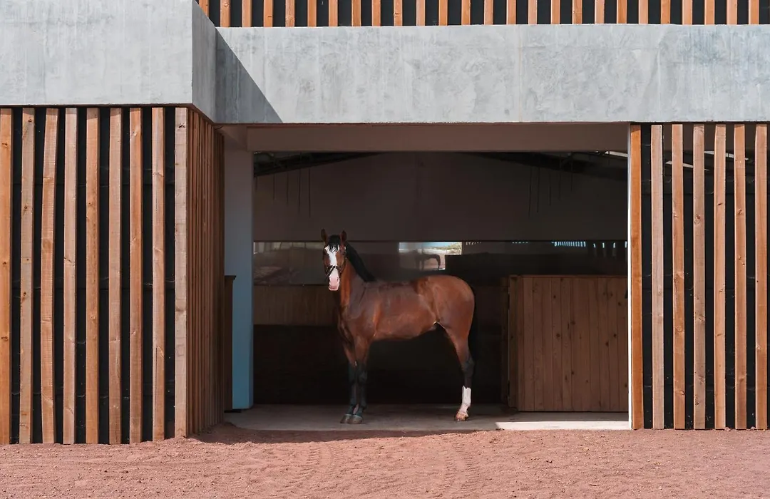 Lusitano Garden Villas-1