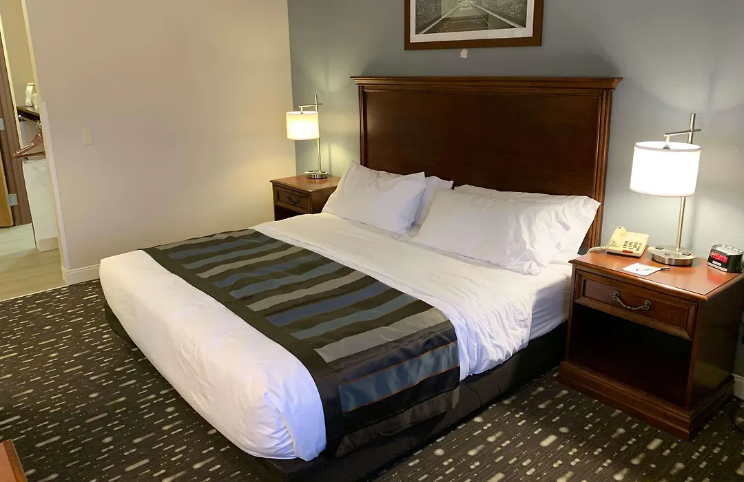 Wingate By Wyndham Brighton-1