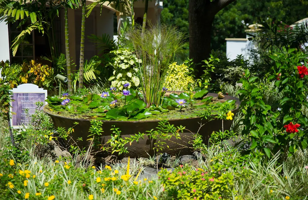 Blue Horizons Garden Resort-1