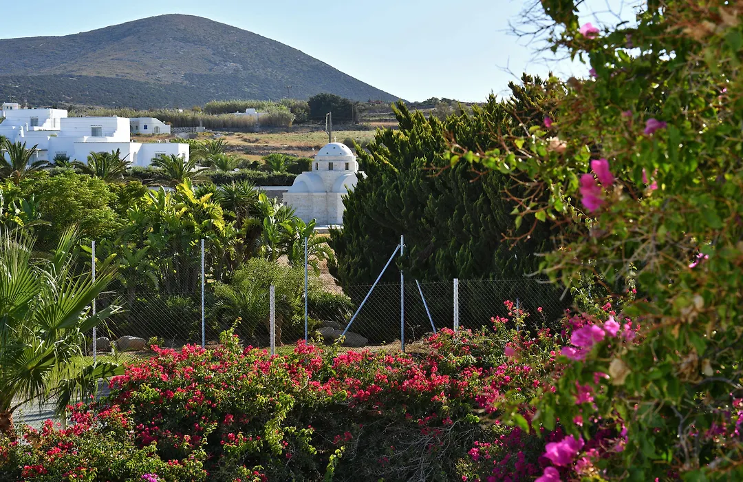 Astir Of Paros-1