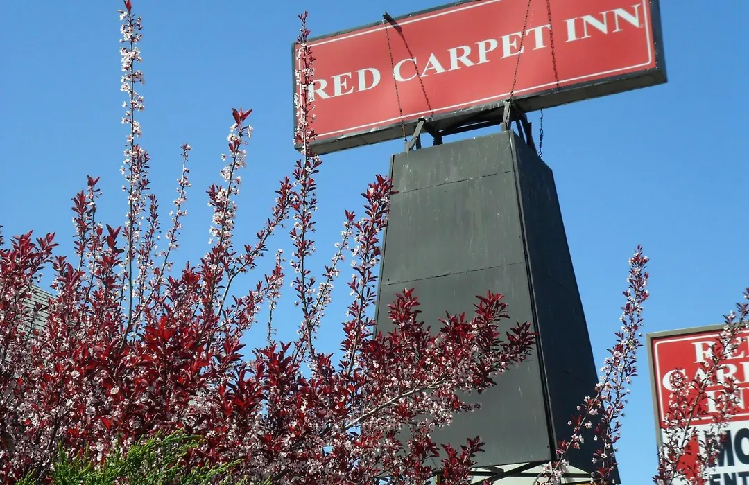 Red Carpet Inn Brooklawn-1