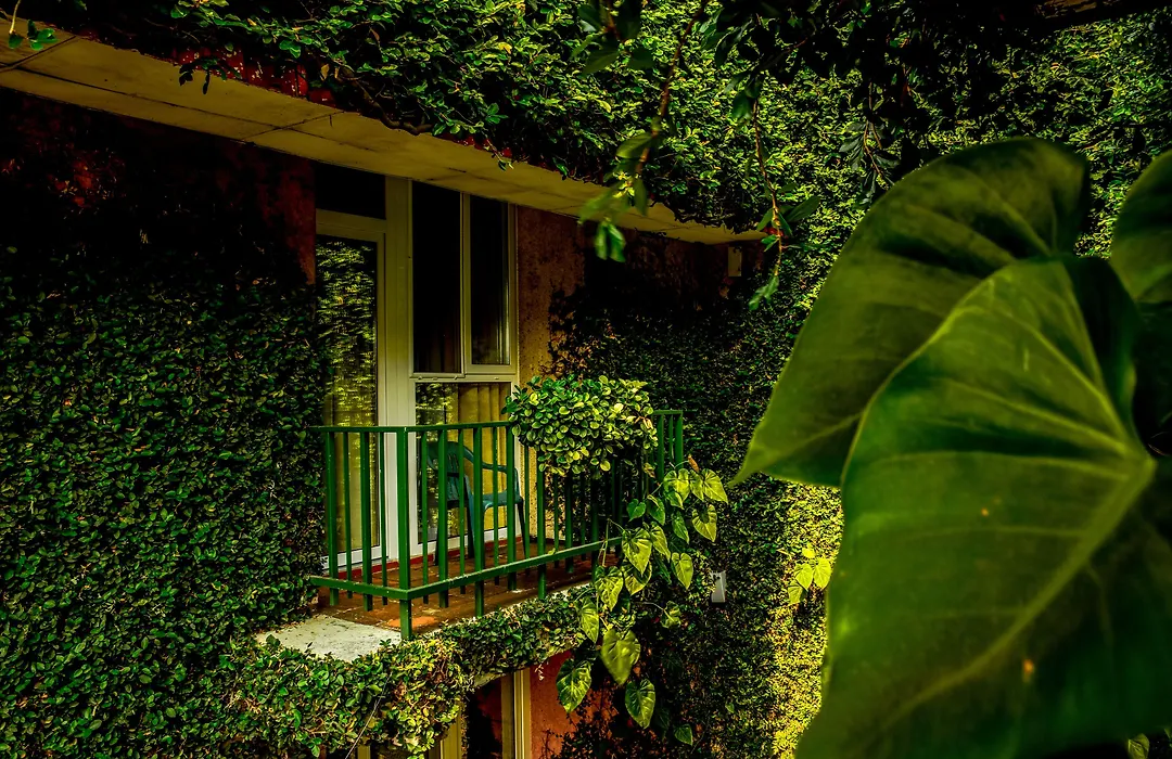 Novo Hotel & Suite-1