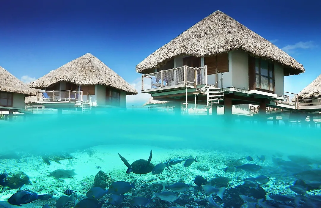 Westin Bora Bora Resort & Spa-1