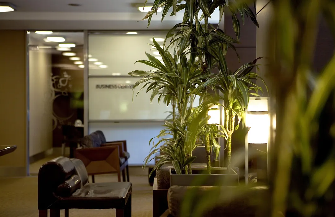 Nippon Hotel-1