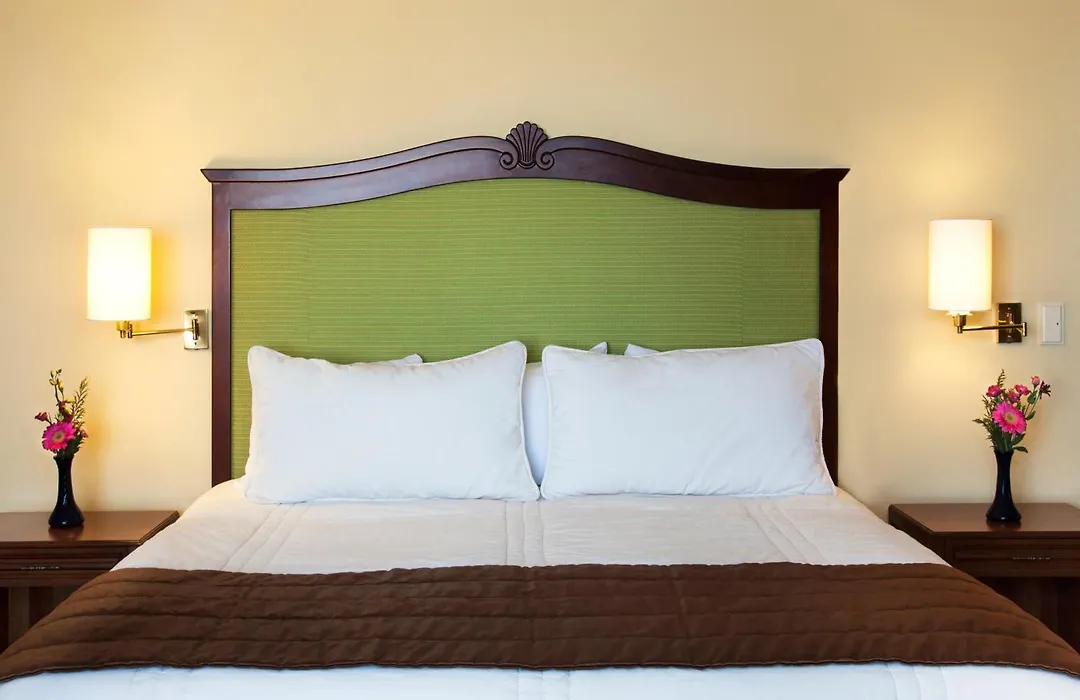 Hotel Francia Aguascalientes-1