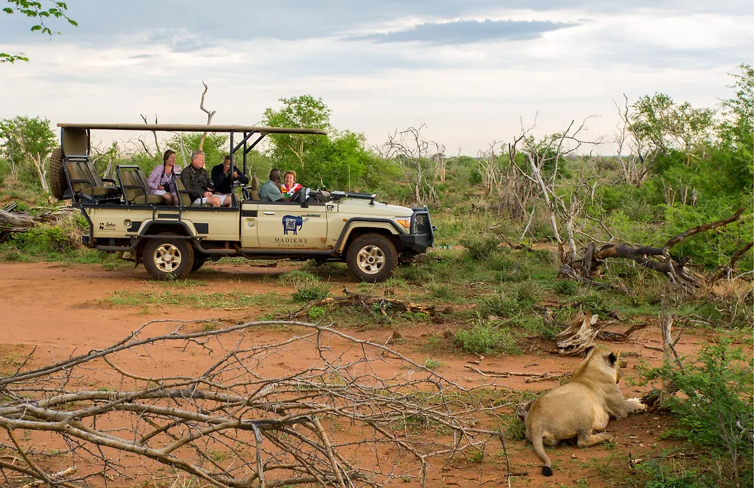 Madikwe River Lodge-1