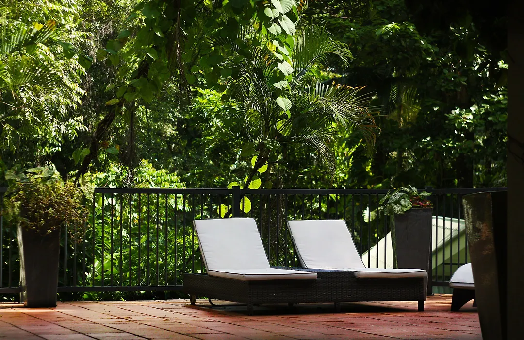 Daintree Ecolodge-1