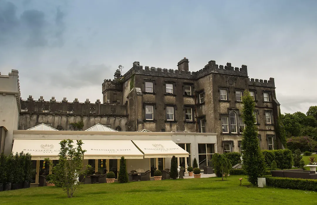 Ballyseede Castle-1