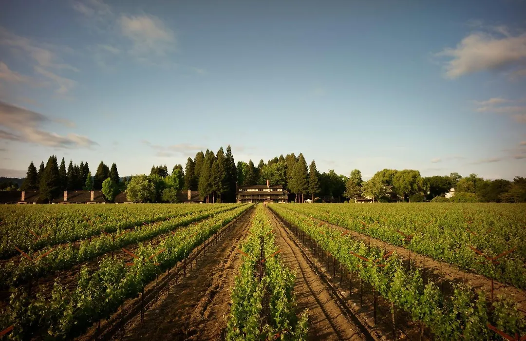 Harvest Inn-1
