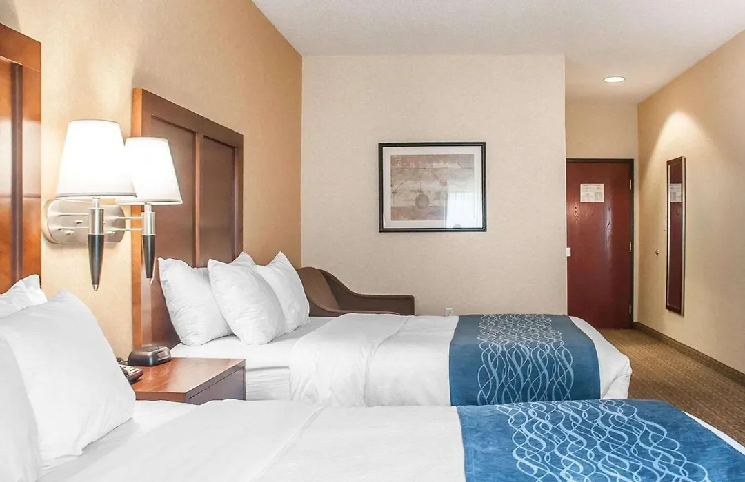 Comfort Inn & Suites Hamburg - Buffalo South-1