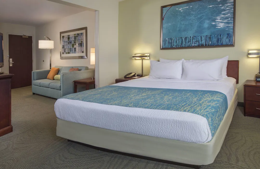 Springhill Suites Raleigh-Durham Airport/Research Triangle Park-1