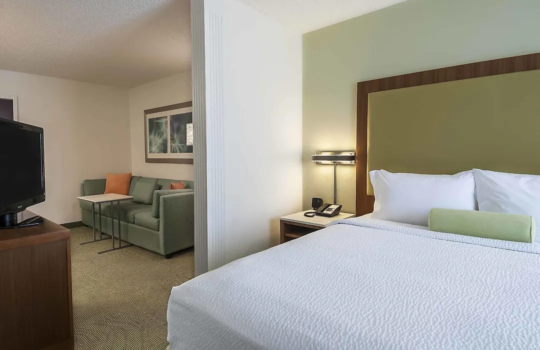 Springhill Suites By Marriott Baton Rouge South-1