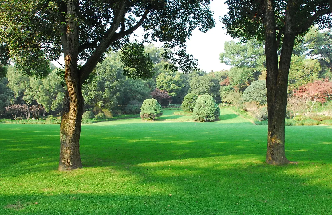 Xijiao State Guest Hotel-1
