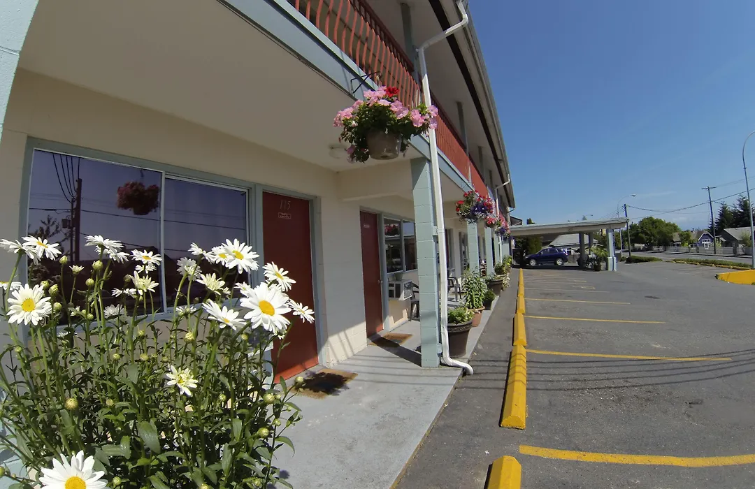 Value Lodge Motel-1