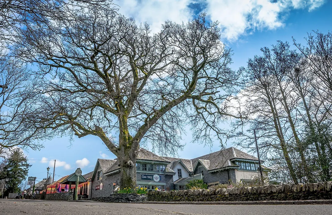 Oak Tree Inn-1