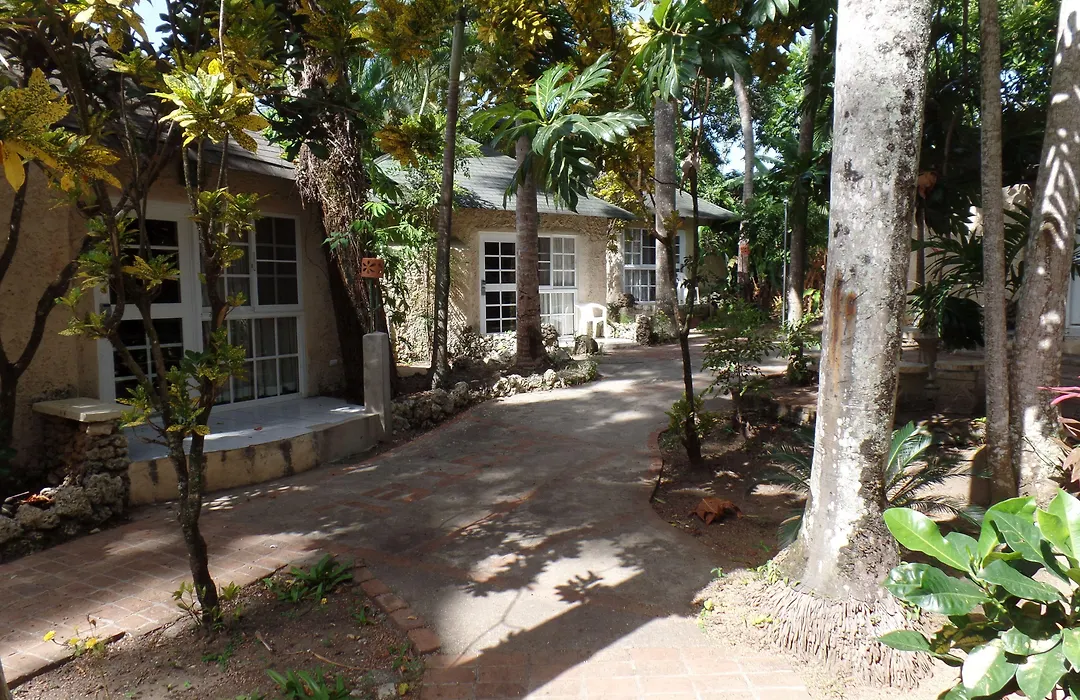 El Kaoba-1