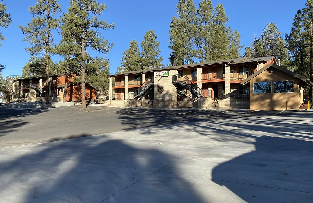 Motel In The Pines-1