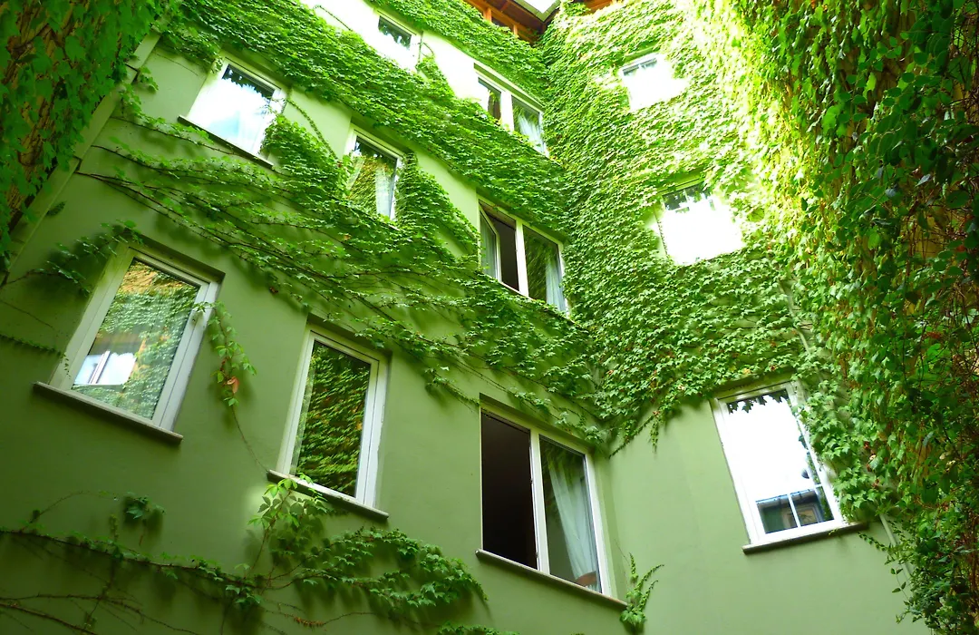 Hotel Erguvan - Special Category-1