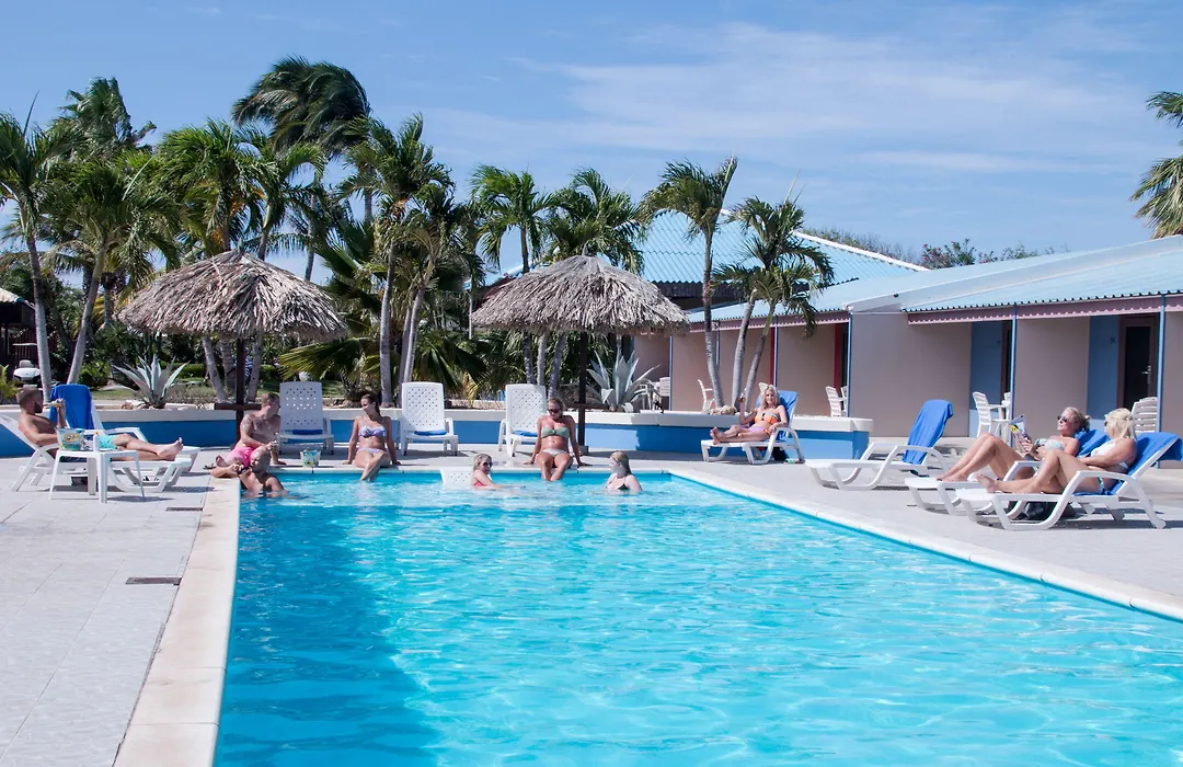 Aruba Blue Village Hotel And Apartments-1