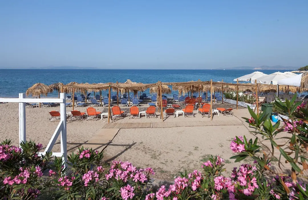 Tropical Hotel Seafront Boutique-1