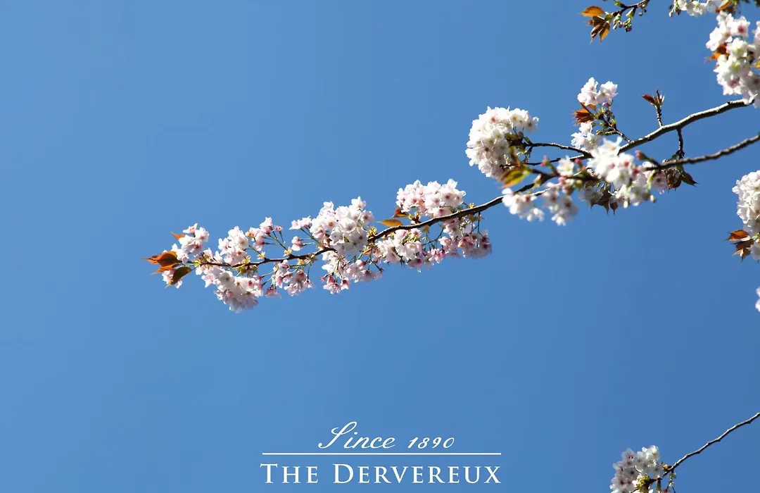 The Devereux Boutique Hotel-1
