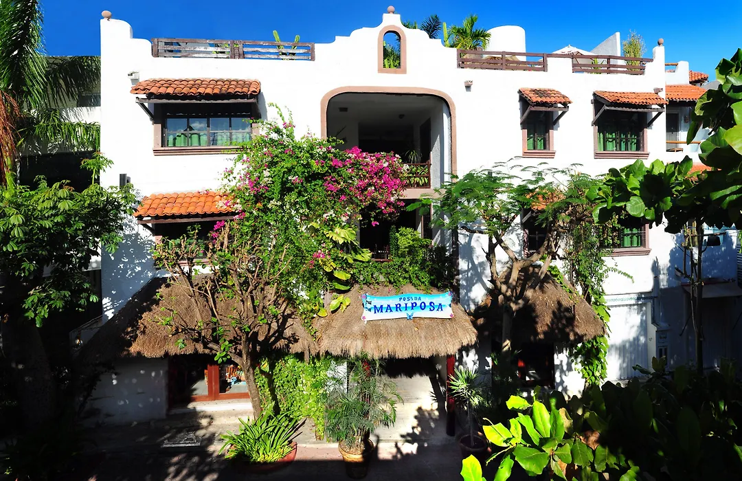 Posada Mariposa Boutique Hotel - 5th Avenue-1